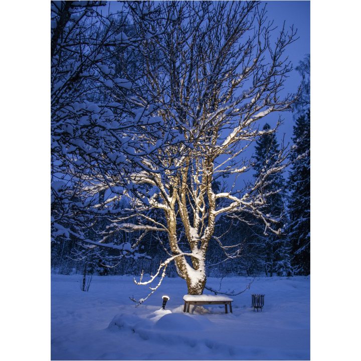LED-pære E27 PAR38 Spotlight Outdoor Sort Star Trading – billede 11