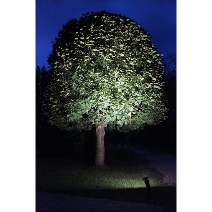 LED-pære E27 PAR38 Spotlight Outdoor Sort Star Trading – billede 6