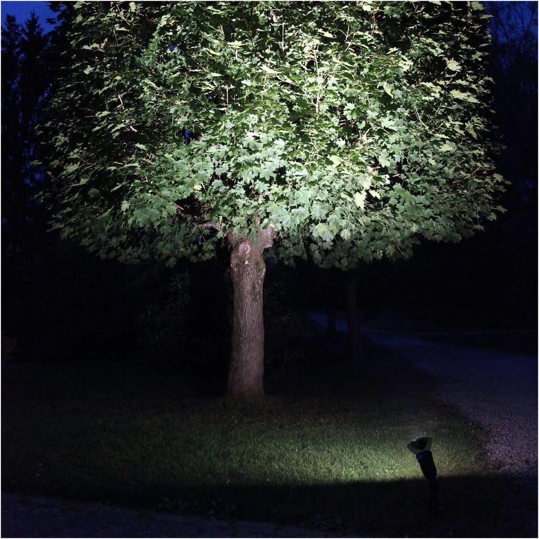 LED-pære E27 PAR38 Spotlight Outdoor Sort Star Trading – billede 5