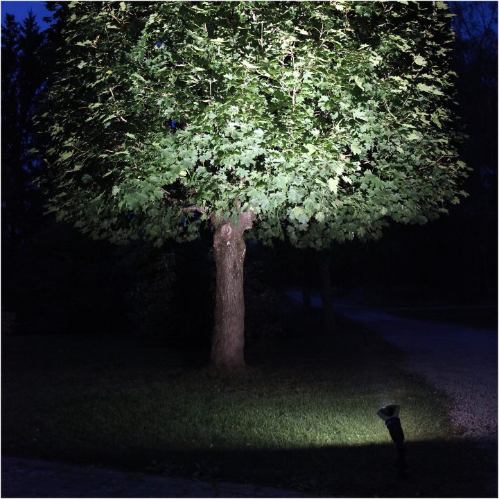 LED-pære E27 PAR38 Spotlight Outdoor Sort Star Trading – billede 5