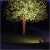 LED-pære E27 PAR38 Spotlight Udendørs Sølv Star Trading – miniature 5