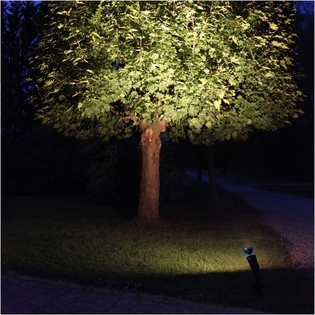 LED-pære E27 PAR38 Spotlight Udendørs Sølv Star Trading – billede 6