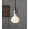 LED-pære E27 R160 Funkis Star Trading – miniature 18