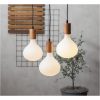 LED-pære E27 R160 Funkis Star Trading – miniature 16
