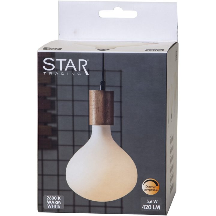 LED-pære E27 R160 Funkis Star Trading – billede 8