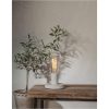 LED-pære E27 ST64 Decoled Grace Klar Star Trading – miniature 1