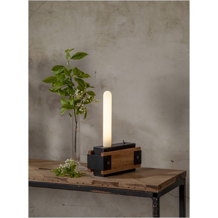 LED-pære E27 T30 Opaque Filament RA90 STAR TRADING – billede 5