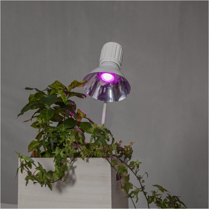 LED-pære GU10 MR16 Plant Light Star Trading – billede 6