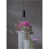 LED-pære GU10 MR16 Plant Light Star Trading – miniature 4