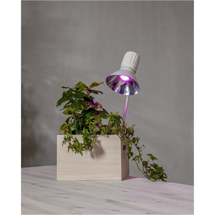 LED-pære GU10 MR16 Plant Light Star Trading – billede 3
