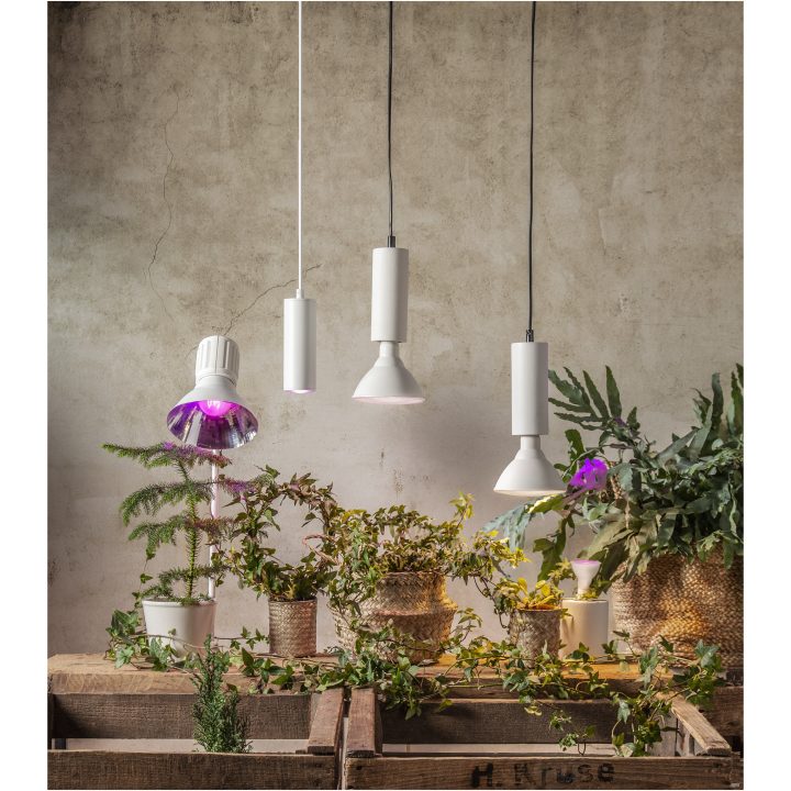 LED-pære GU10 MR16 Plant Light Star Trading – billede 10