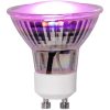 LED-pære GU10 MR16 Plant Light Star Trading – miniature 7