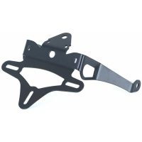 Licence Plate Holder With Smoked Lens Light Kawasaki 650 Vulcan R&G Racing
