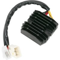 Likretter og regulator Hot Shot Krom RICKS MOTORSPORT