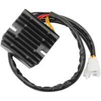 Likretter og regulator Hot Shot Krom RICKS MOTORSPORT