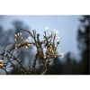 Ljusslinga Flower Silver Star Trading – miniature 5