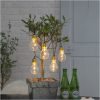 Ljusslinga Glow Transparent Star Trading – miniature 13