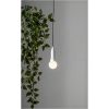 Ljusslinga Lighty Svart Star Trading – miniature 5