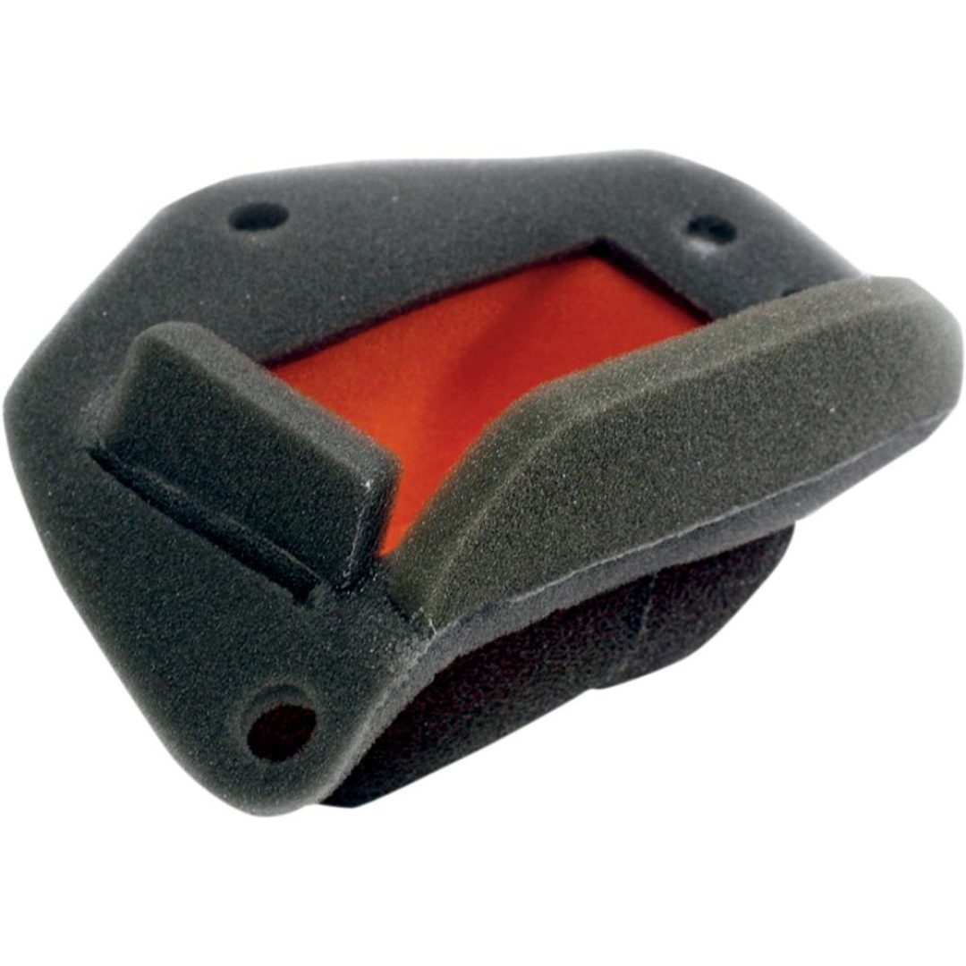 Luftfilter Twin Air Dual-Layer Twin Air Sort