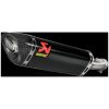 Lyddæmper Slip-On Kulfiber Akrapovic – miniature 1