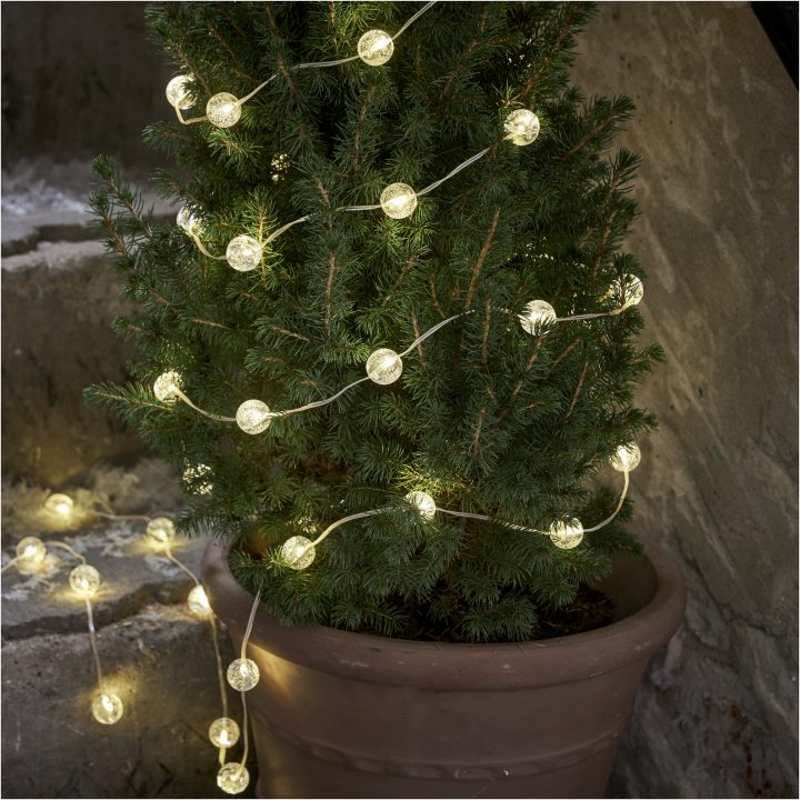 Lysslange Berry Star Trading – billede 4
