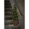 Lysslange Berry Star Trading – miniature 5
