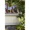 Lysslange String Light Sort Star Trading – miniature 5