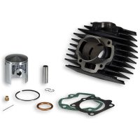 MALOSSI Cylinder Kit ⌀45,5 Cast Iron