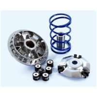 Maxi High Speed Variator - Zontes 125 D E5 POLINI