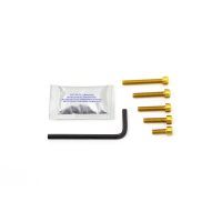 Motorbolte Standard PRO BOLT