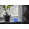 Nattlampa LED Whale Vit Star Trading – miniature 20