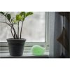 Nattlampa LED Whale Vit Star Trading – miniature 17
