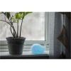 Nattlampa LED Whale Vit Star Trading – miniature 12
