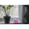 Nattlampa LED Whale Vit Star Trading – miniature 9