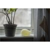 Nattlampa LED Whale Vit Star Trading – miniature 1