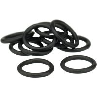 O-ring til X21 AGA
