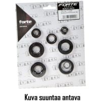 Oljetätningssats Motor Tunturi Puch (6 st) Forte