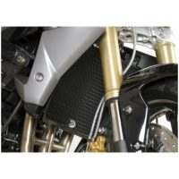 Pro Radiator Guard - Triumph Daytona/Street Triple 675 R&G Racing