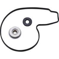 PUMP WATER REPAIR KIT