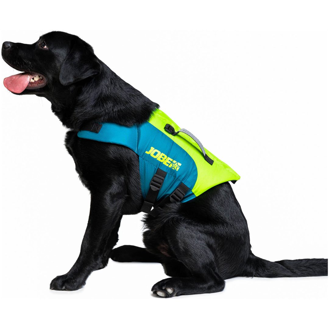 Redningsvest Pet Lime Teal Jobe M – billede 2