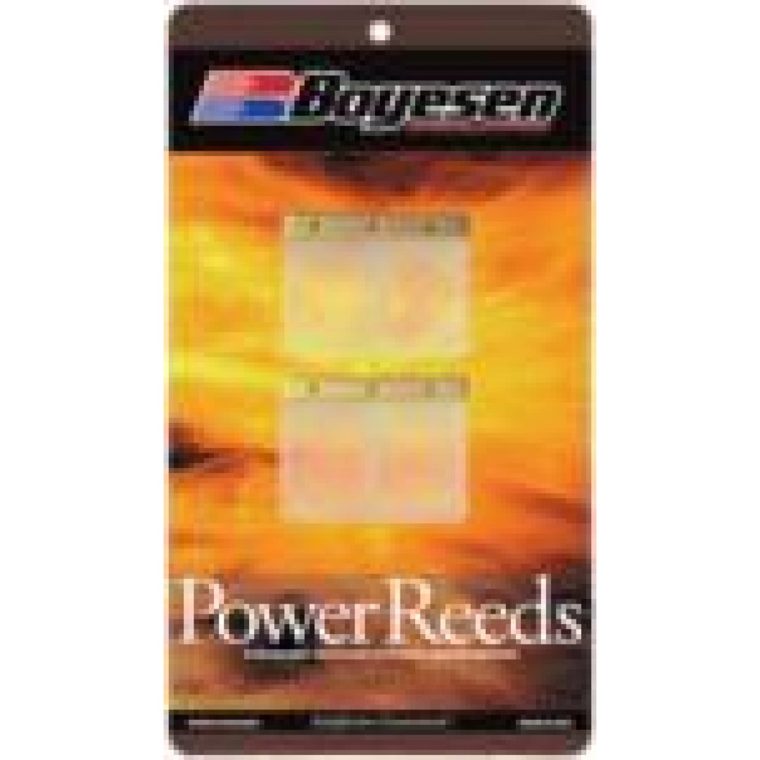 Reed kit POWER REEDS BOYESEN RACING REED SUZ