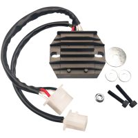 Regulator Litium Batteri RICKS MOTORSPORT