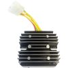 Regulator Litium Batteri RICKS MOTORSPORT Ensretter og regulator – miniature 1