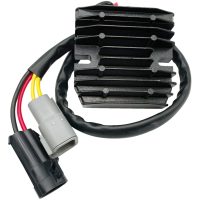 Regulator Litium Batteri RICKS MOTORSPORT