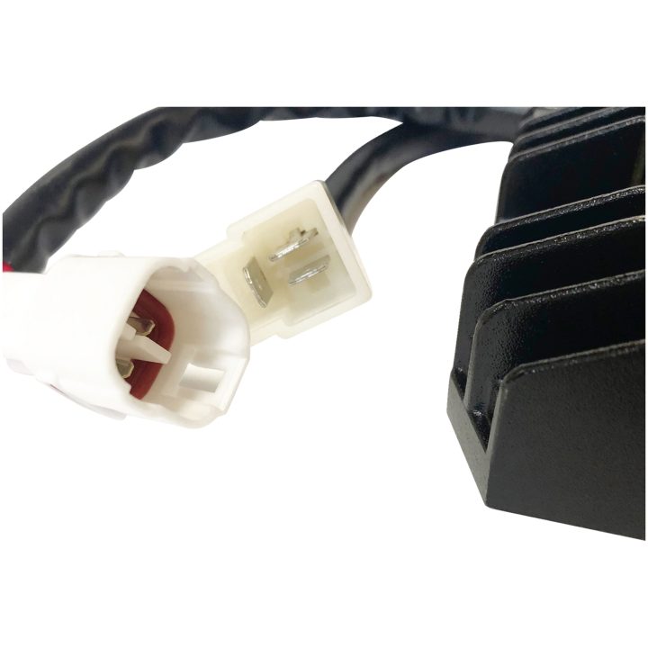 Regulator Litium Batteri RICKS MOTORSPORT Ensretter og regulator – billede 2