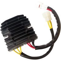 Regulator Litium Batteri RICKS MOTORSPORT