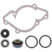 Reparationssats Vattenpump Sno-X
