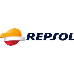 Rider Town 4T 20W-50 60L Repsol