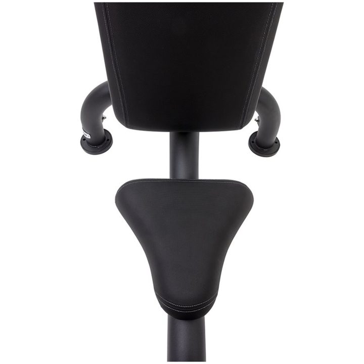 Royal utility bænk - Master Master Fitness – billede 2