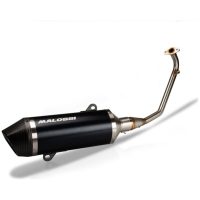 RX Full Exhaust System Aluminium/Carbon - Honda SH 125 MALOSSI